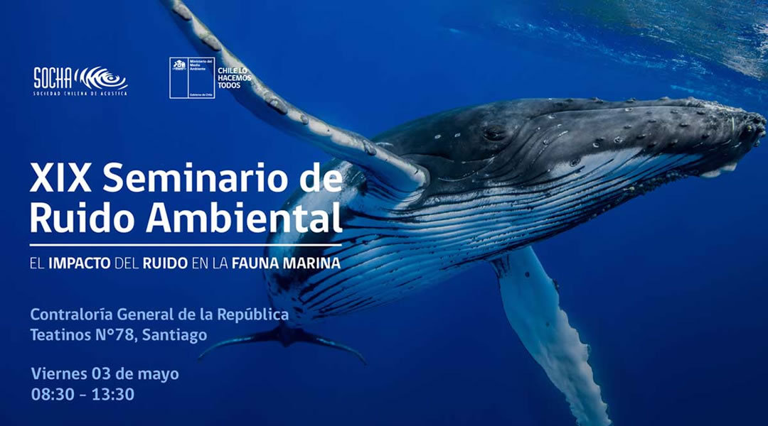Seminario 2019 N°19 – Submarina